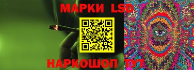 ПСИЛОЦИБИНОВЫЕ ГРИБЫ Камышлов