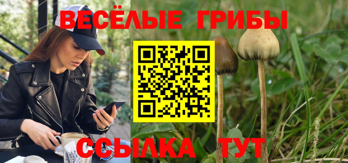 Кирово-Чепецк  Псилоцибиновые грибы мухоморы  Вход с VPN 